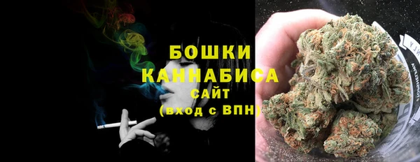 гашиш Богданович