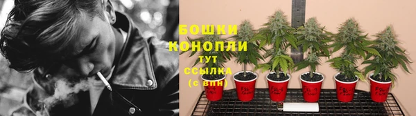 ECSTASY Богородицк