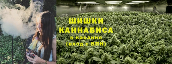 молекула духа Богородск