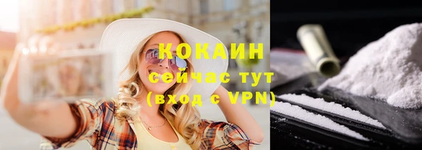 гашиш Богданович