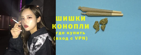 молекула духа Богородск