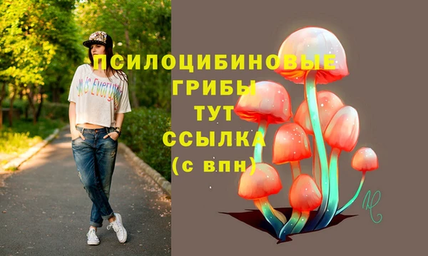 кокс Снежногорск