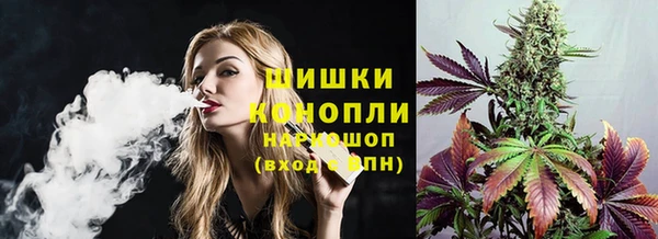 молекула духа Богородск