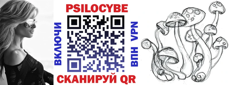 Галлюциногенные грибы Psilocybine cubensis Буйнакск