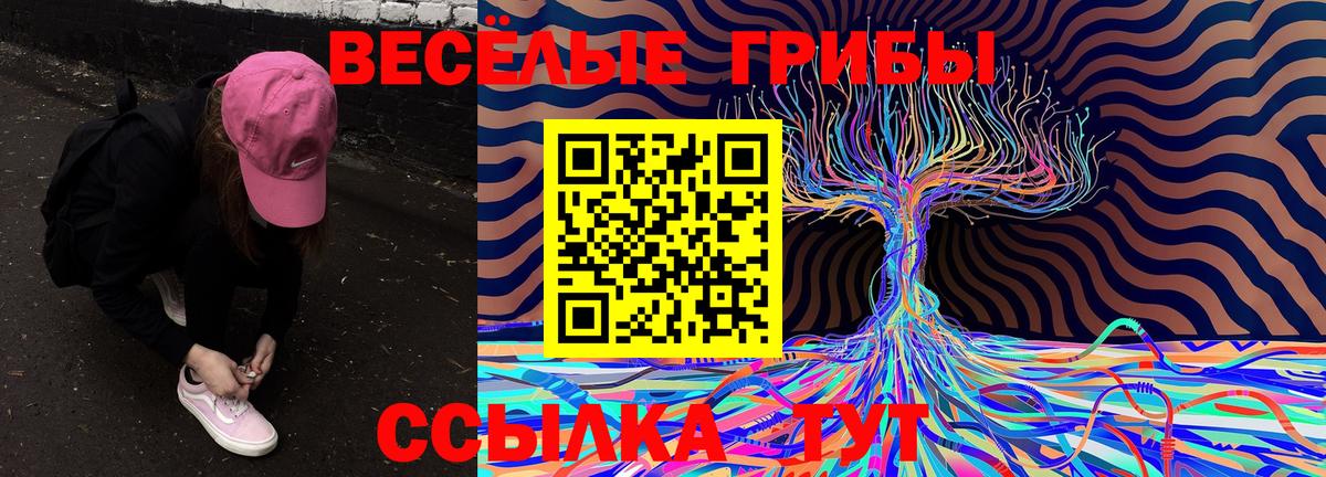 Псилоцибиновые грибы MAGIC MUSHROOMS Буйнакск