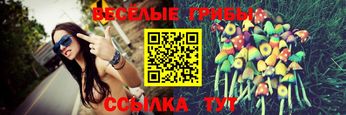 Псилоцибиновые грибы мицелий  сколько стоит  Буйнакск 