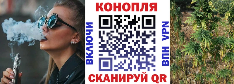 дарк нет Telegram  Буйнакск  Шишки марихуана тримм 